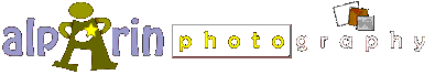 alpArin Photography Studio